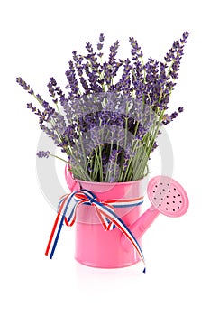 Pink watering can with lavender