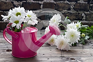 Pink watering can with white daisies on wooden table