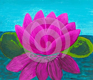 Pink waterlily, oil painting