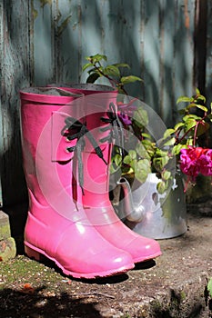 Pink wellingtons in front of an old shed