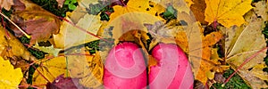 Pink wellingtons among leaves.rubber boots of a child in a lawn after a rain on a stormy autumn day.seasonal concept. rubber boots