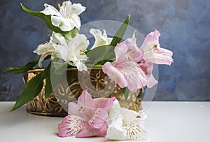 Pink and White Alstroemeria