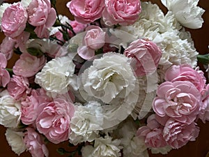 Pink and White Carnations