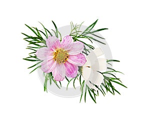 Pink  and white cosmos flowers in a floral arrangement photo