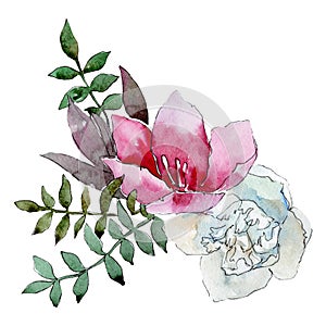 Pink white flowers. Floral botanical flower. Isolated bouquet composition. Watercolor background illustration set.