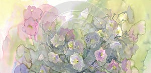 Pink and white flowers watercolor background