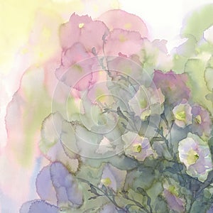 Pink and white flowers watercolor background