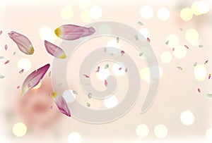 Pink white and green flowers but and petal on pastel vintage festive template background for valentine and women day copy space