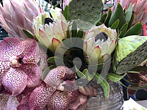 Proteas, orchids. Pink, white spotted orchids with pale yellow, rose proteas, lotus flower seed heads in flowering arrangement