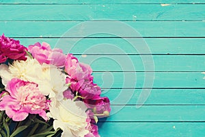 Pink and white peonies over old turquoise wooden background