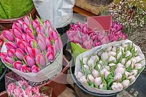 Pink, white and purple blooming tulips wrap with paper in basket at florist.