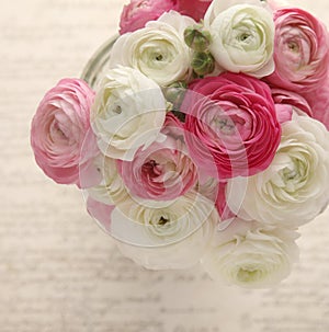 Pink and white ranunculus with script