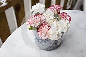 Pink, white and red carnation