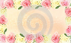 Pink and white rose fancy frame.