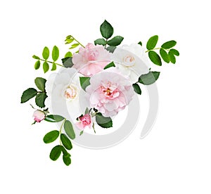 Pink and white rose flowers and buds in a corner arrangement