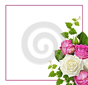 Pink and white rose flowers with ivy green leaves in a corner arrangement and a frame