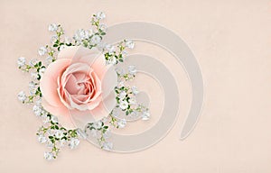 Pink and white roses arranged