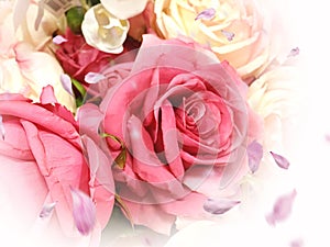 Pink white roses and petal floral spring summer background copy space