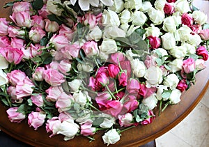 Pink and white roses