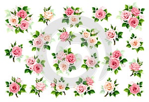 Pink and white roses. Set of vector design elements