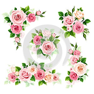 Pink and white roses. Set of vector floral design elements