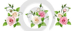 Pink and white roses. Vector set of three roses branches