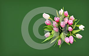 Pink and white tulip flowers bouquet on green background