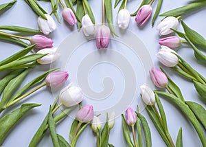 Pink and white tulips in a heart shape