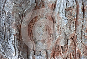 Pink with white veins red granite texture background