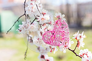 Pink wicker rattan heart surrounded by flowering branches of spring trees