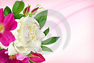 Pink wild rose flowers and white peony in a floral corner arrangement on abstract holiday background