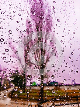 Pink window view in autumn season with water drops background on the glass