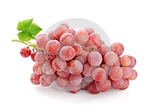 Pink wine grape