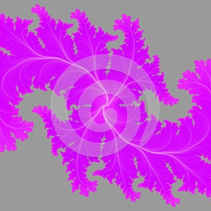 Pink winter flower fractal, fractal fantasy shapes contrasts lights, sparkling petals, fractal, abstract background