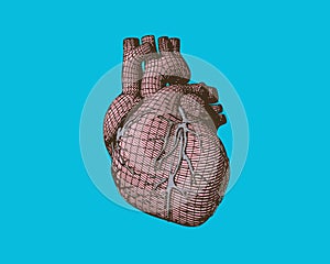 Pink wireframe human heart on green BG