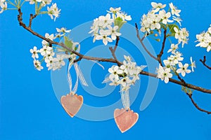Pink wood hearts hanging from pear tree branch with blossoms