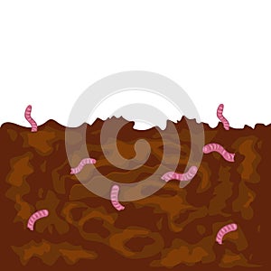 Pink worms in the ground