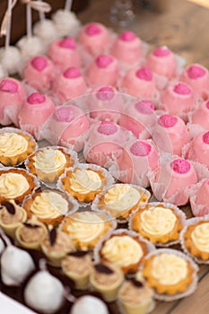 Pink and yellow cupcakes on banquet table.