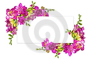 Pink and yellow freesia flowers in a corners arrangements on white card