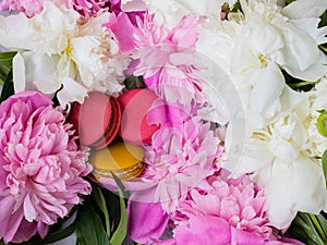 Pink and yellow macaroons on peony background. Pink and white peony and macaroons.