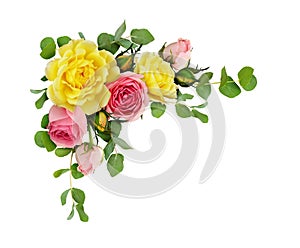 Pink and yellow rose flowers with eucalyptus leaves