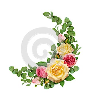 Pink and yellow rose flowers with eucalyptus leaves in a corner