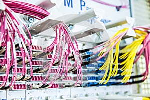 Pink and Yellow Telecommunication Computer Wires