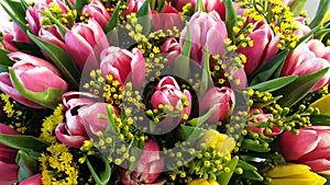 Pink and yellow tulips.