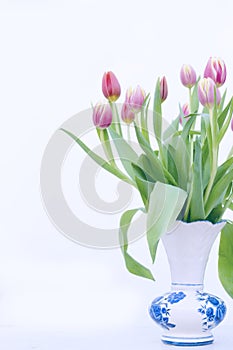 Pink and yellow Tulips in Vase photo