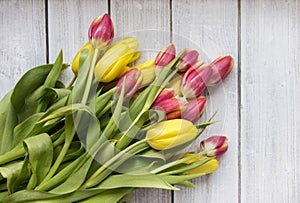 Pink and Yellow Tulips on White Wood