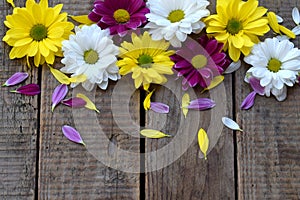 Pink, yellow and white chamomile flowers border. Birthday, Mother`s day, Valentine`s Day, March 8, Wedding card or invitation. F