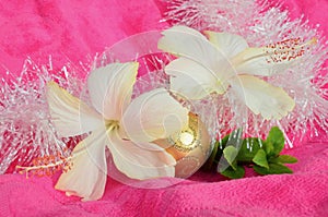 Pink yellow white gold Christmas background golden white hibiscus flowers and white tinsel green leaves soft background
