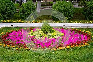 Pink, yellow white flowers and green grass. Scenic view of colourful flowerbeds. Lush green grass lawn.