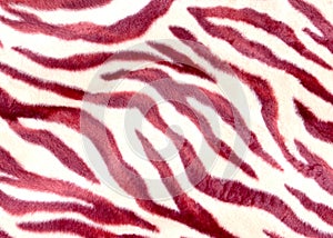 Pink zebra print on mass-produced knitted, synthetic fabric. Use for upholstery of upholstered furniture. Abstract animal skin